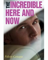 Book cover with a young man's gaze from within a car