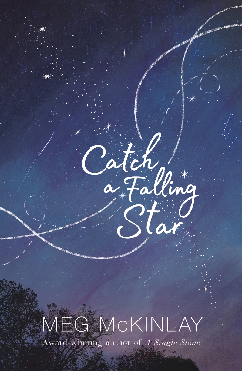 Catch a Falling Star, Book cover