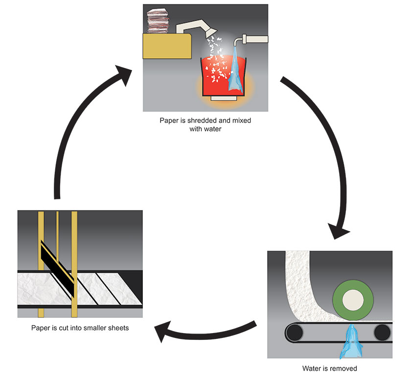 Stages of recycling paper