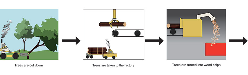 The first three stages of the paper making process